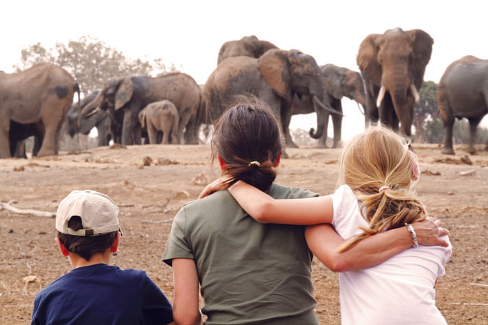 Incredible moments shared—herd watching on safari