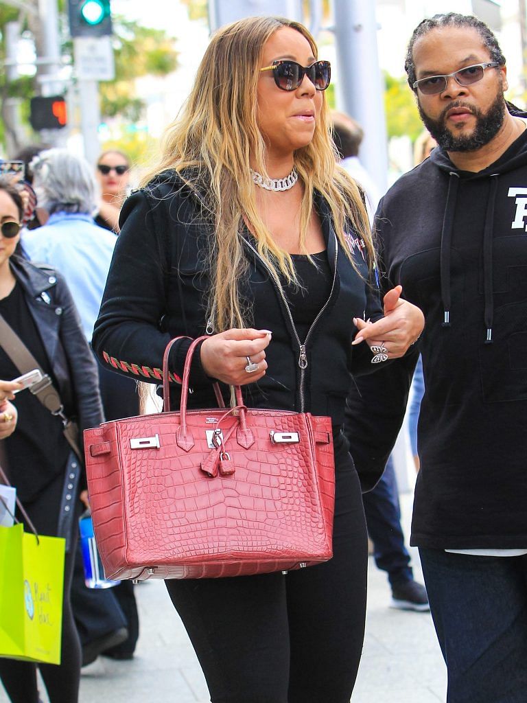 olsen twins birkin bag