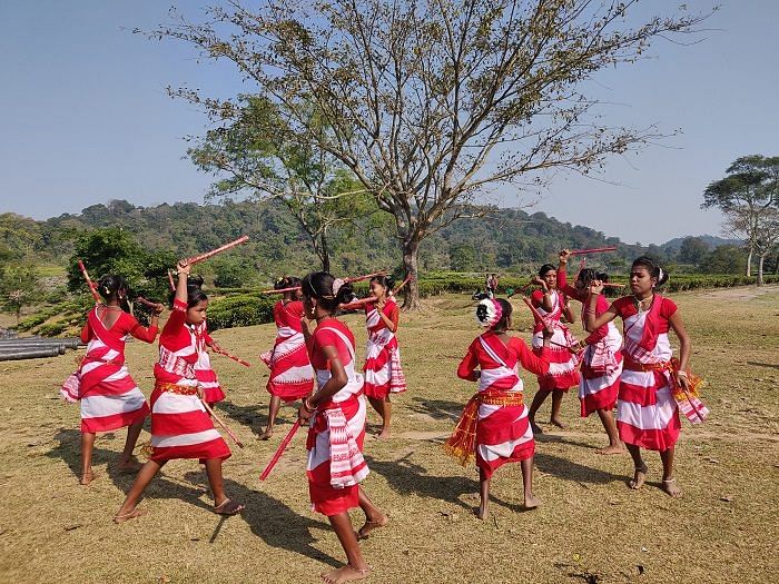 Dancing students performing in a tea plantation