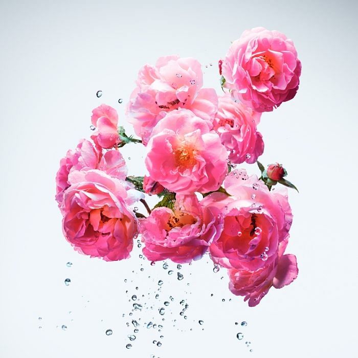 Miss Dior Rose N' Roses