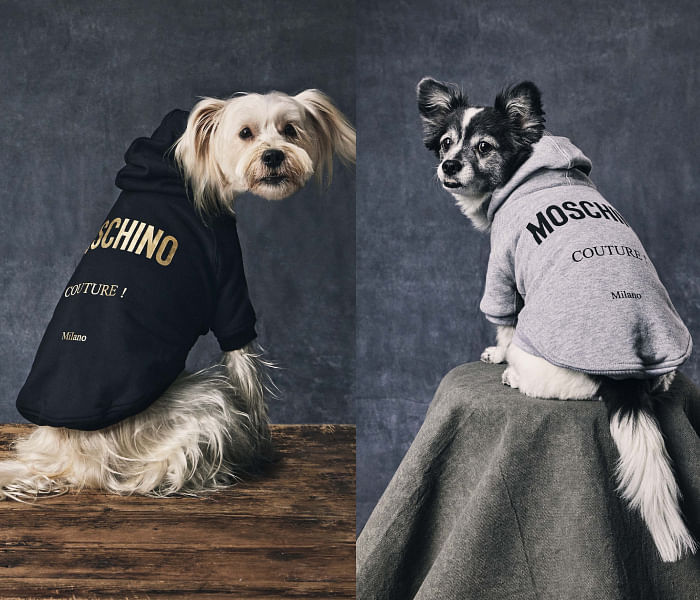 moschino dog clothes