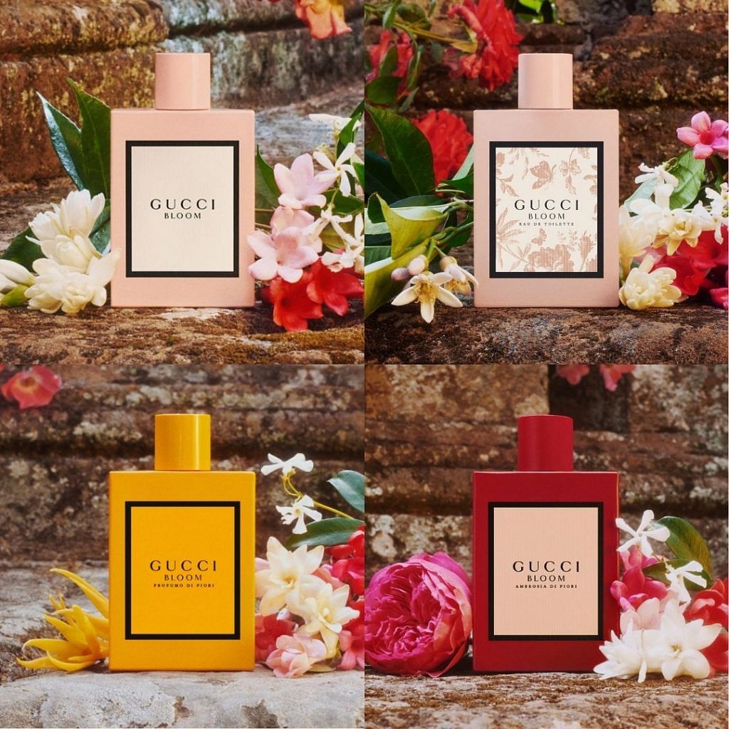 Fragrance Review: Gucci – Bloom (All Flankers) – A Tea-Scented Library