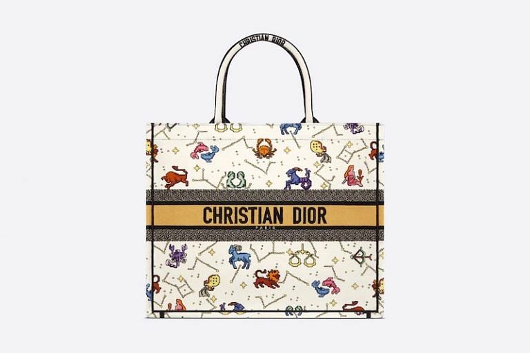 The Dior Book Tote Bag Is The Best Thing Since Slice Bread According To  These Influencers