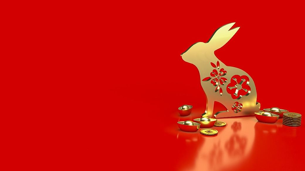 Happy Chinese New Year 2023 Cartoon Cute Rabbit Wearing