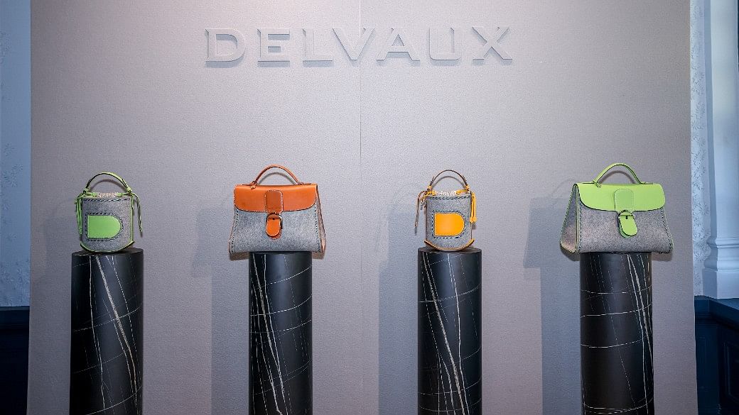 17 Best Delvaux Brillant ideas  delvaux brillant, fashion, street style